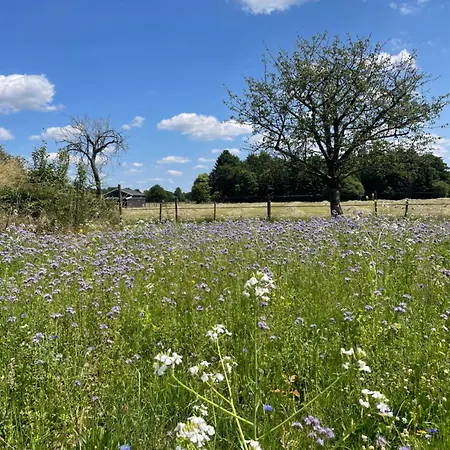 De Windpeluw - Daar Bij Kempermolen Apartamento Breedenbroek