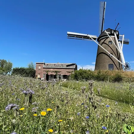 De Windpeluw - Daar Bij Kempermolen