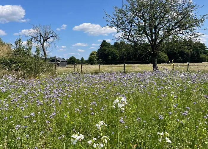 De Windpeluw - Daar Bij Kempermolen Appartement Breedenbroek