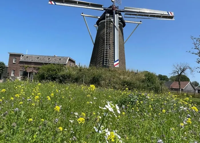 De Windpeluw - Daar Bij Kempermolen *