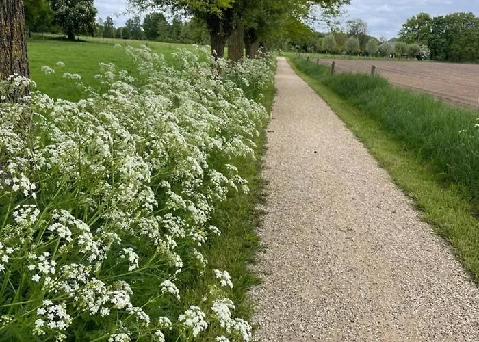 De Windpeluw - Daar Bij Kempermolen Appartement Breedenbroek