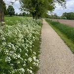 De Windpeluw - Daar Bij Kempermolen Lägenhet Breedenbroek