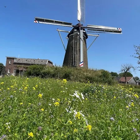 De Windpeluw - Daar Bij Kempermolen - Achterhoek *