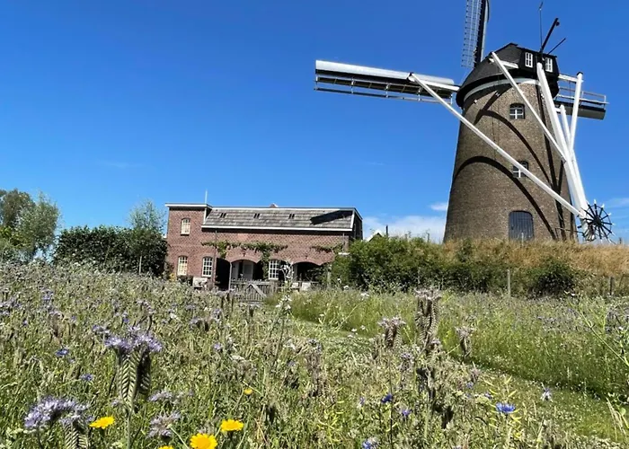 De Windpeluw - Daar Bij Kempermolen